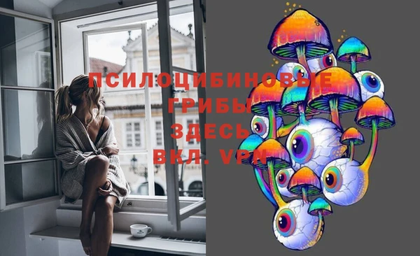 индика Навашино
