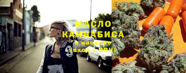 индика Навашино