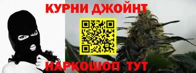 сатива Апшеронск
