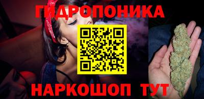 сатива Апшеронск