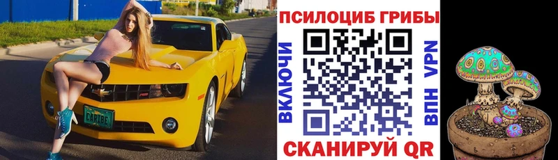 Галлюциногенные грибы Magic Shrooms  Белореченск 