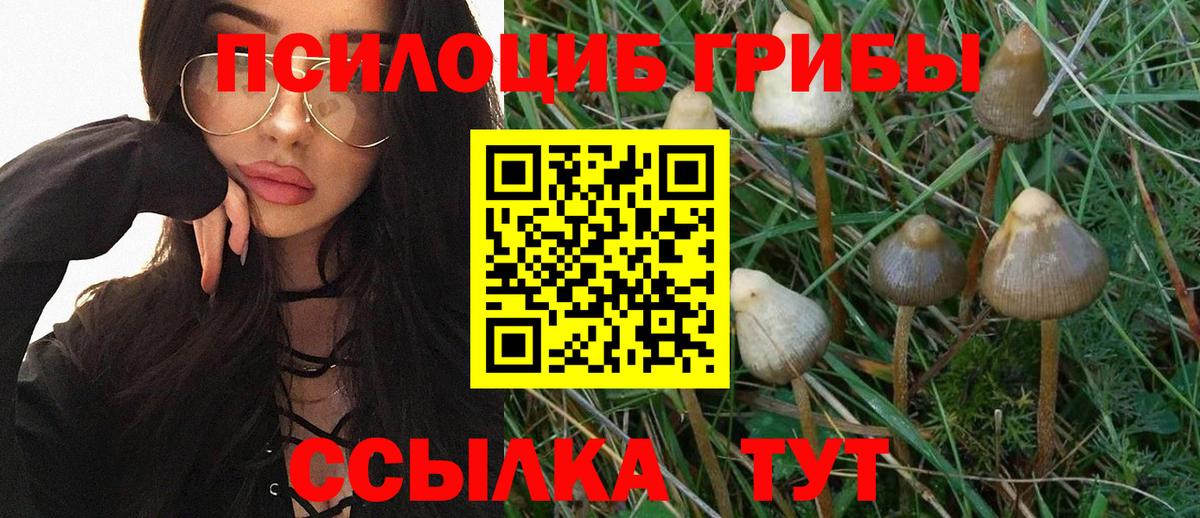 Псилоцибиновые грибы мухоморы  Вход с VPN  Галлюциногенные грибы ЛСД  Белореченск 